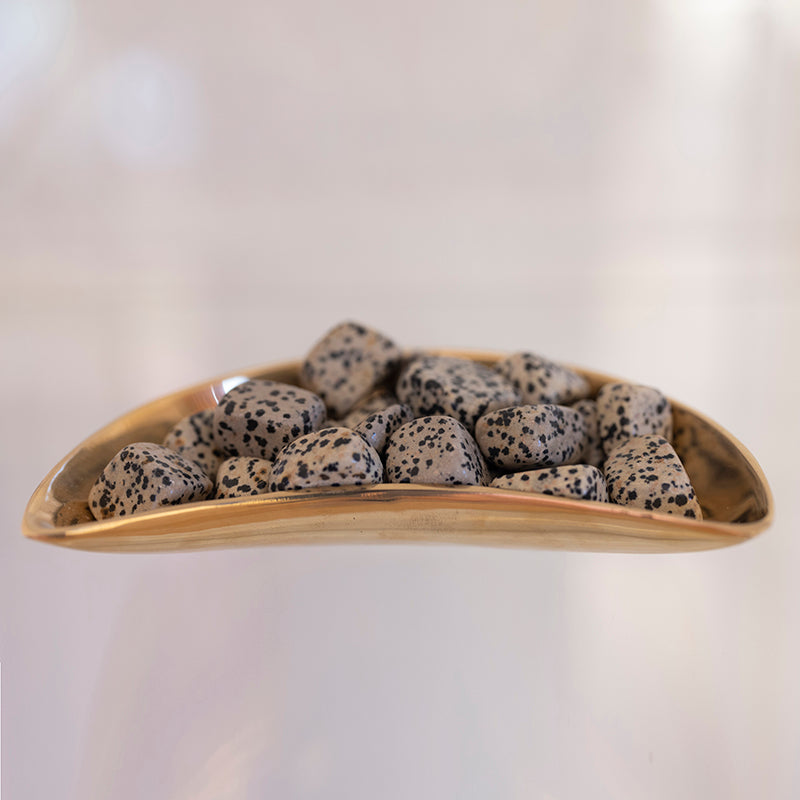 Smooth tumbled Dalmatian Jasper stone from Sacred Light Soundbaths and Crystals, showcasing its distinctive black spots on a beige background.