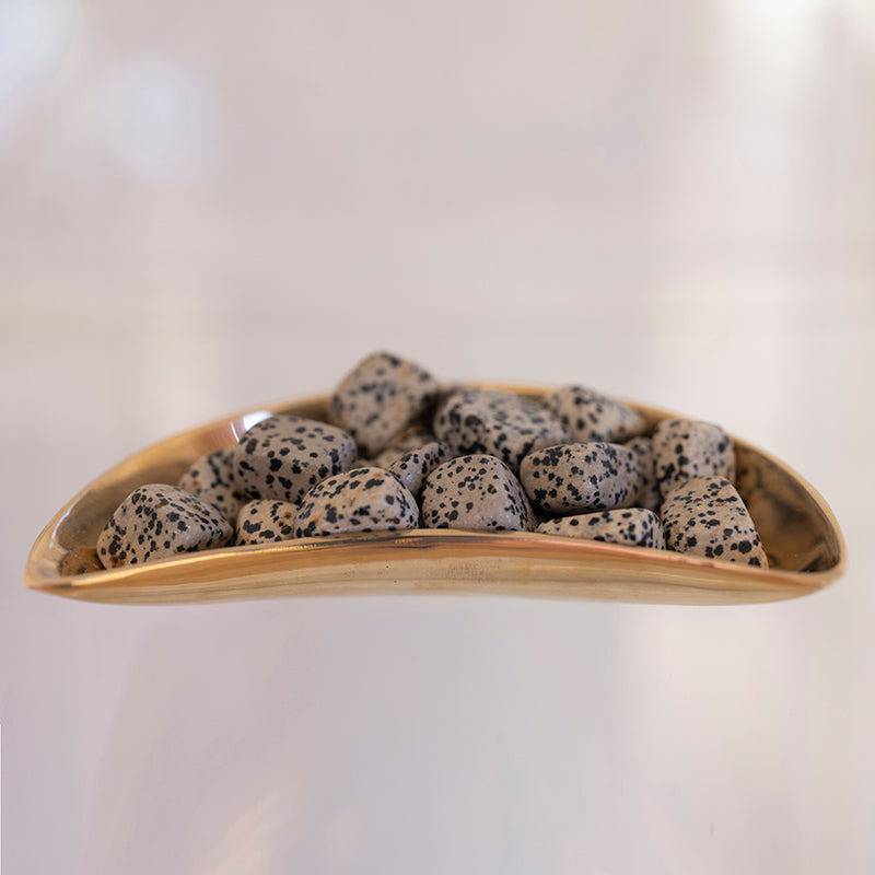 Smooth tumbled Dalmatian Jasper stone from Sacred Light Soundbaths and Crystals, showcasing black spots on beige mineral surface.